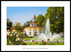 Der Ebertpark zur Sommerblüte